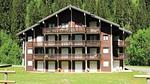 Ferienwohnung für 7 Personen (27 m²) in Châtel - Top-Hundeurlaub