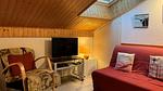 Ferienwohnung für 7 Personen (27 m²) in Châtel - Top-Hundeurlaub