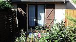 ExteriorSummer - Ferienwohnung für 5 Personen (19 m²) in Soulac Sur Mer - Top-Hundeurlaub