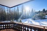 Ruf-Lenzerheide - Top-Hundeurlaub
