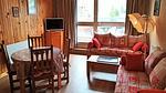 LivingRoom - Ferienwohnung für 5 Personen (32 m²) in Les Deux Alpes - Top-Hundeurlaub