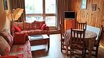 LivingRoom - Ferienwohnung für 5 Personen (32 m²) in Les Deux Alpes - Top-Hundeurlaub