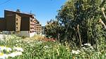 PoolOfHouse - Ferienwohnung für 5 Personen (25 m²) in L'Alpe D'Huez - Top-Hundeurlaub