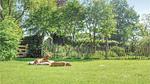 house - Ferienhaus für 6 Personen (150 m²) in Leende - Top-Hundeurlaub