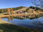 Weitblick Simonhöhe - ein Traum - Top-Hundeurlaub