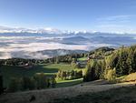 Weitblick Simonhöhe - ein Traum - Top-Hundeurlaub