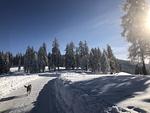 Weitblick Simonhöhe - ein Traum - Top-Hundeurlaub