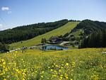 Weitblick Simonhöhe - ein Traum - Top-Hundeurlaub