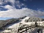 Weitblick Simonhöhe - ein Traum - Top-Hundeurlaub