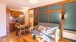 LivingRoom - Ferienwohnung für 7 Personen (42 m²) in Saint-Lary - Top-Hundeurlaub