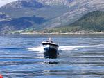 Motorboot fahren am Hardangerfjord - Fjordhytte-1 - Top-Hundeurlaub