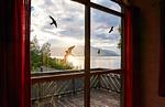 Gartenblick - Fjordhytte-1 - Top-Hundeurlaub