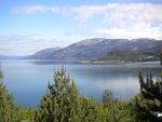 Meerblick - Fjordhytte-1 - Top-Hundeurlaub