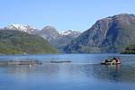 Landschaft - Fjordhytte-1 - Top-Hundeurlaub