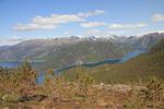Berge - Fjordhytte-1 - Top-Hundeurlaub
