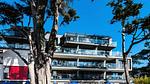 ExteriorSummer - Ferienwohnung für 3 Personen (20 m²) in Pornichet - Top-Hundeurlaub
