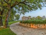 Mia Toscana - Top-Hundeurlaub