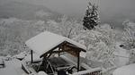 GardenWinter - Ferienhaus für 6 Personen (90 m²) in Haselbourg - Top-Hundeurlaub