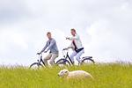 Landschaft - Dorumer Sielhuus 17 - Top-Hundeurlaub
