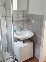 Ferienhaus mit Pool am See - Top-Hundeurlaub