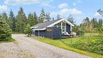 house - Ferienhaus für 8 Personen (90 m²) in Bording - Top-Hundeurlaub