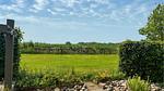 outside - Ferienhaus für 6 Personen (89 m²) - Top-Hundeurlaub