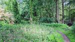 house - Ferienhaus für 5 Personen (65 m²) in Lage Mierde - Top-Hundeurlaub
