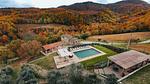 pool - Ferienhaus für 10 Personen (315 m²) - Top-Hundeurlaub