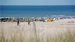 house - Ferienhaus für 6 Personen (77 m²) in Blåvand - Top-Hundeurlaub