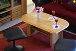 Wohnzimmer - Ferienwohnung 17 - Top-Hundeurlaub