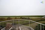 Terrasse - Ferienwohnung 1 - Top-Hundeurlaub