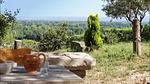 view-from-room - Ferienhaus für 8 Personen (140 m²) in Noves - Top-Hundeurlaub