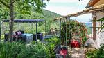 pool - Ferienhaus für 6 Personen (140 m²) - Top-Hundeurlaub