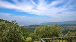 view-from-room - Ferienhaus für 6 Personen (140 m²) - Top-Hundeurlaub