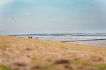 Ferienhaus Huus an´t Diek - Top-Hundeurlaub