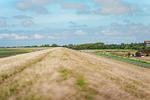 Landschaft - Ferienhaus Huus an´t Diek - Top-Hundeurlaub