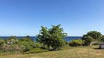 view-from-room - Ferienhaus für 6 Personen (130 m²) - Top-Hundeurlaub