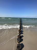 Strand - Haus Q Superior - Hälfte 1 - Top-Hundeurlaub