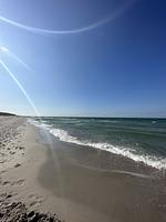 Strand - Haus Q Superior - Hälfte 1 - Top-Hundeurlaub