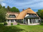 Ostwind - Top-Hundeurlaub