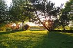Ostwind - Top-Hundeurlaub