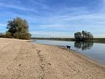Chalet Aan het Strand mit Zaun Haus Nr. 133 - Top-Hundeurlaub
