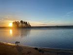 Chalet Aan het Strand mit Zaun Haus Nr. 133 - Top-Hundeurlaub