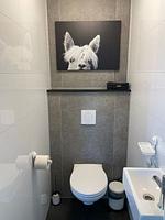 Chalet Aan het Water mit Zaun Haus Nr. 134 - Top-Hundeurlaub