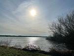 Chalet Aan het Water mit Zaun Haus Nr. 134 - Top-Hundeurlaub