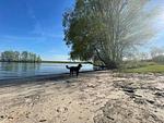 Chalet Aan het Water mit Zaun Haus Nr. 134 - Top-Hundeurlaub