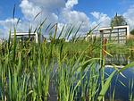 Chalet Aan het Water mit Zaun Haus Nr. 134 - Top-Hundeurlaub
