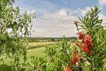 Cuore dell' Umbria - Top-Hundeurlaub
