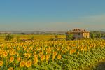 Cuore dell' Umbria - Top-Hundeurlaub