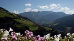 ViewSummer - Ferienwohnung für 17 Personen (220 m²) in St. Johann im Pongau - Top-Hundeurlaub